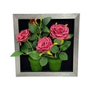 Classy Homes Artificial Plants With Frame, 30x30cm
