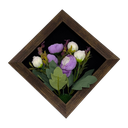 Classy Homes Artificial Plants With Frame, 20x20cm