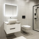 Royal Homes Bathroom Vanity, 2-Drawers with Side Shelf and LED Mirror Cabinet, 31.4x19.6x15.5In. (800x500x420mm)