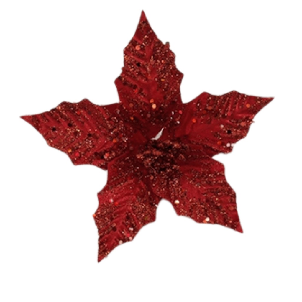 POINSETTIA 20CM 5PET 10CML RED