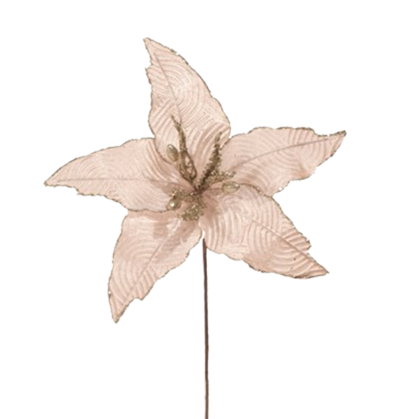 ^Miro Christmas Poinsettia 5P 33cm Champagne