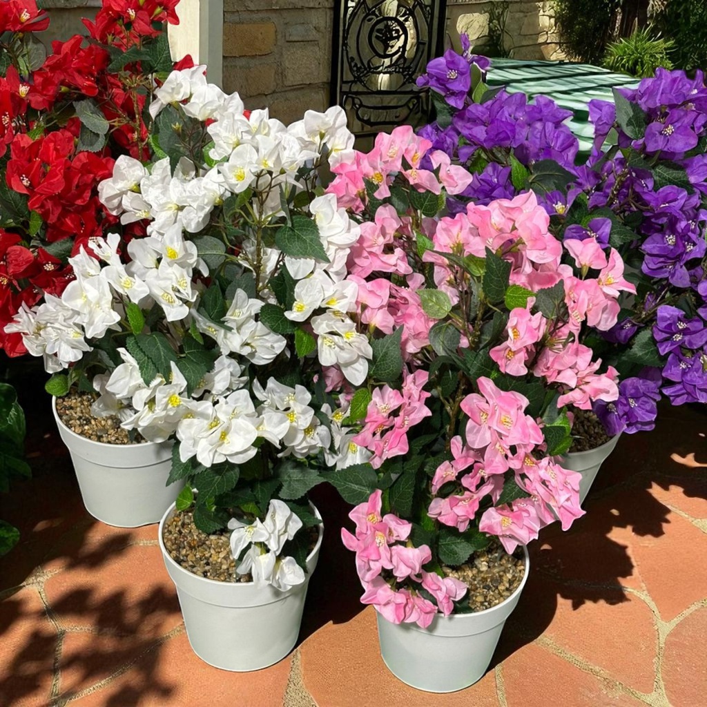 Classy Homes Artificial Plant, 70cm