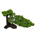 Classy Homes Artificial Plant 40cm