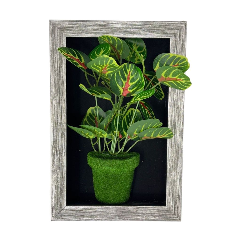****Classy Homes Artificial Plants With Frame, 20x30cm