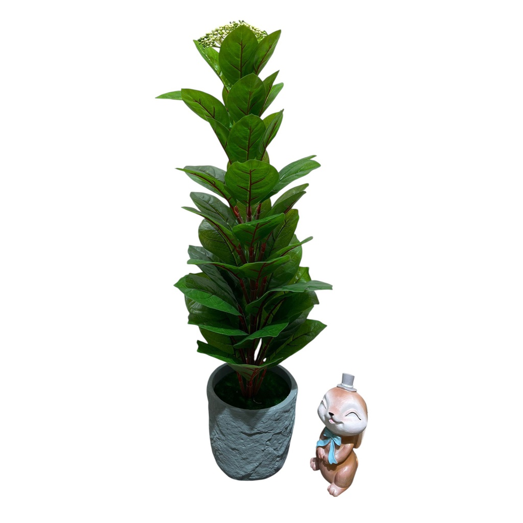 ****Classy Homes Artificial Plant, 62cm