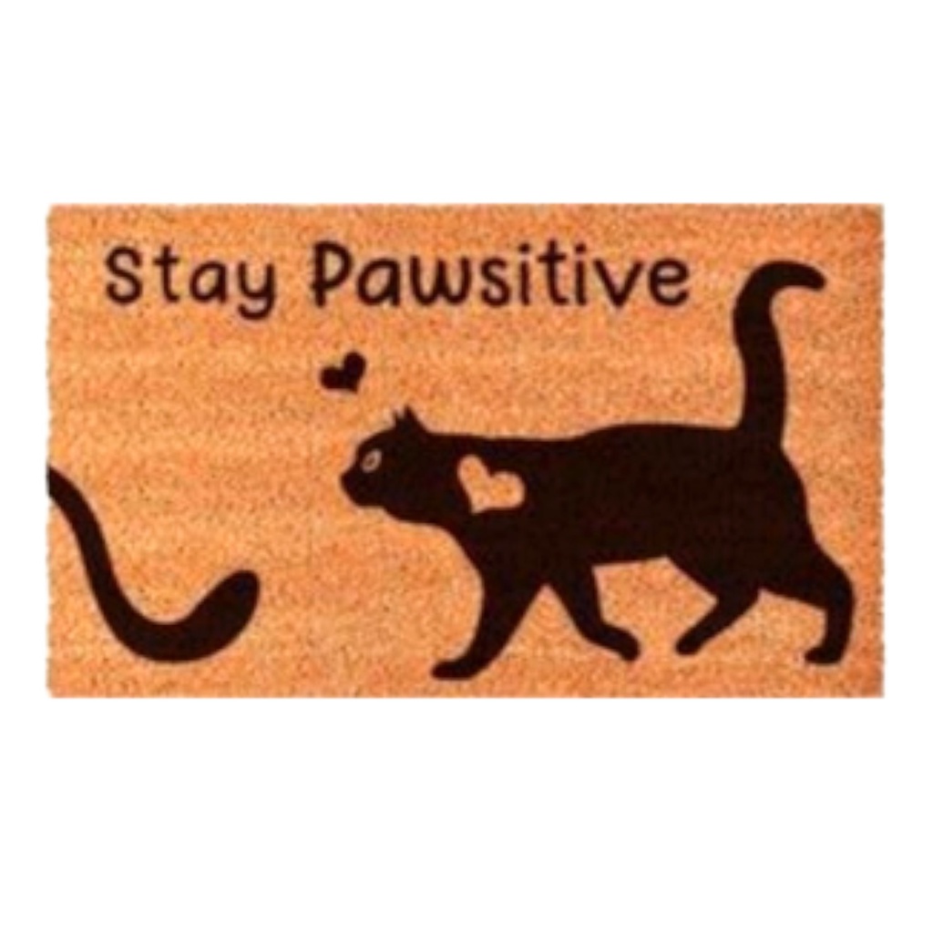 Classy Homes PVC-Backed Coir Mat 20 x 28 In., 15mm Thick
