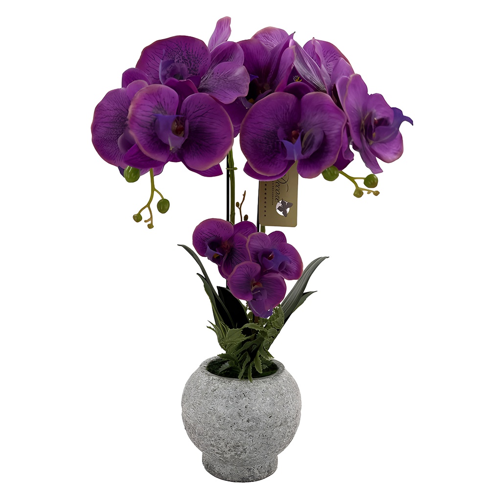 Decore Artificial Orchid in Cement Pot 52cm Pink