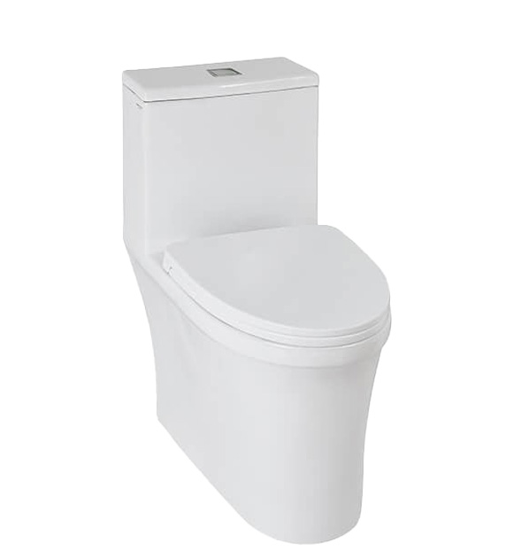 American Standard Aral Series One-Piece Toilet, White