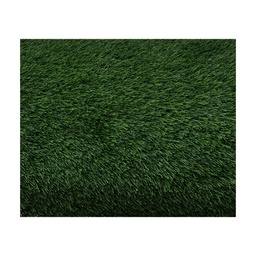[HHGD-AFGS-01005 / RHBSTR35163-25/ZY-132 / BSTR35163-25/ZY-132] Royal Homes Artificial Turf 6.5 x 16.4 Ft (2x5M), Dark Green