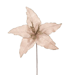 [831-AMX006-2408N] ^Miro Christmas Poinsettia 5P 33cm Champagne