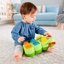 Mattel Fisher-Price Caterpillar Pop-Up