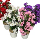 Classy Homes Artificial Plant, 70cm