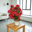 Classy Homes Artificial Plant, 70cm