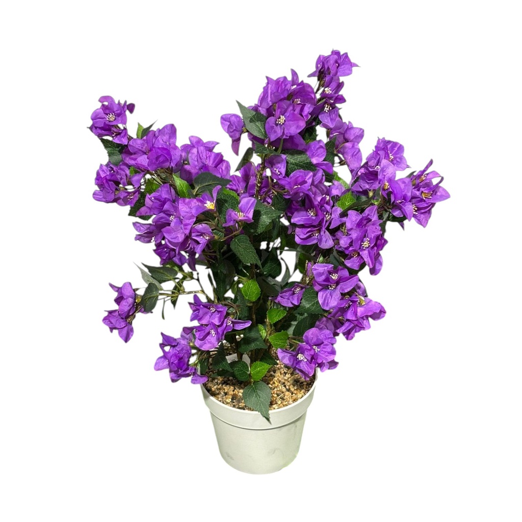 Classy Homes Artificial Plant, 70cm