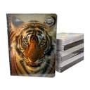 Quad Notes Notebook Boys Design 100 Sheets - 6Pk