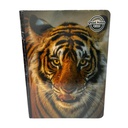 Quad Notes Notebook Boys Design 100 Sheets - 6Pk