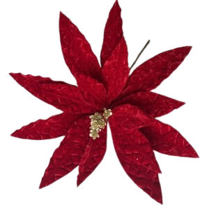 Christmas Poinsettia 30x20cm