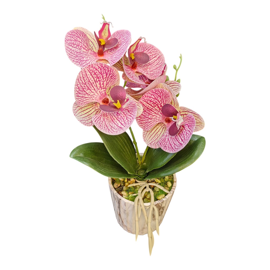 Classy Homes Artificial Plant, 26cm