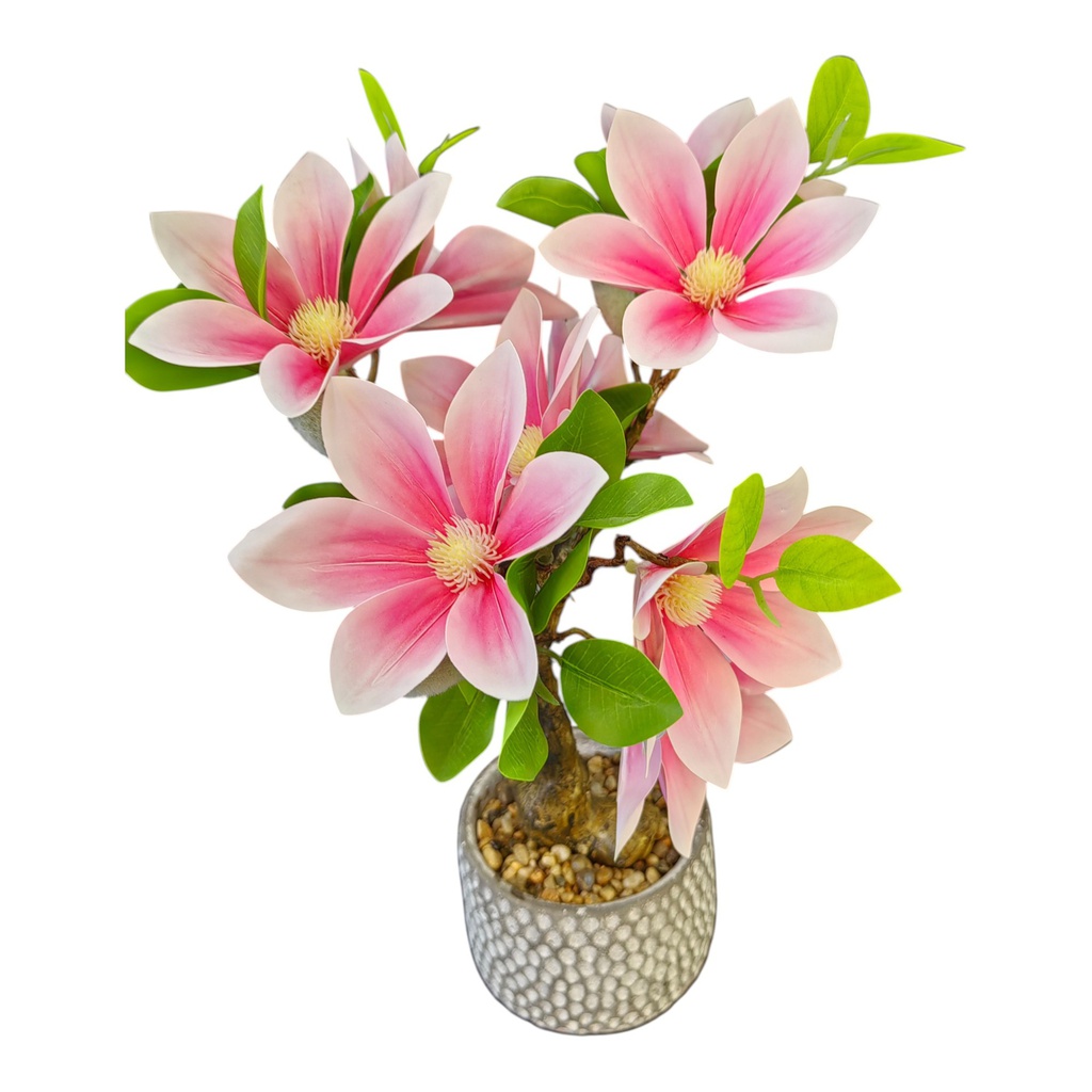 Classy Homes Artificial Plant, 36cm