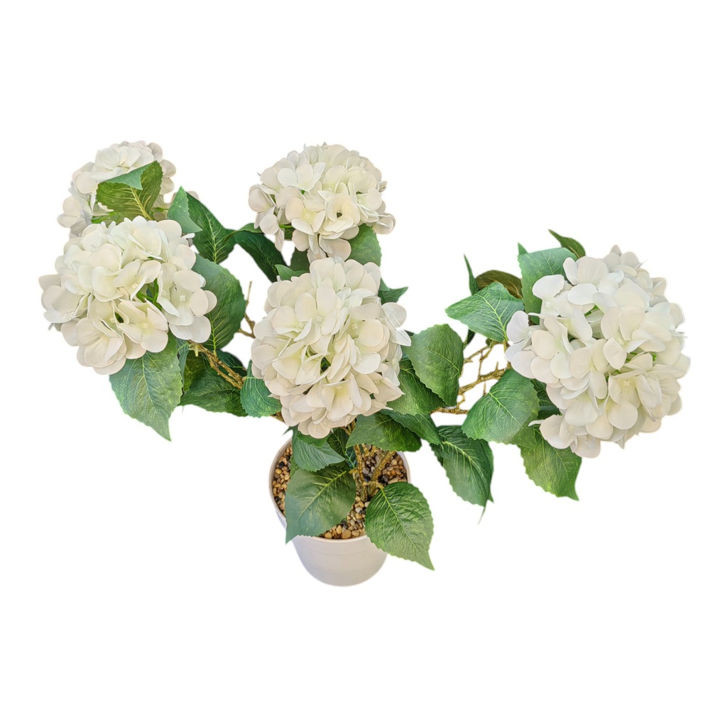 Classy Homes Artificial Plant, 64cm