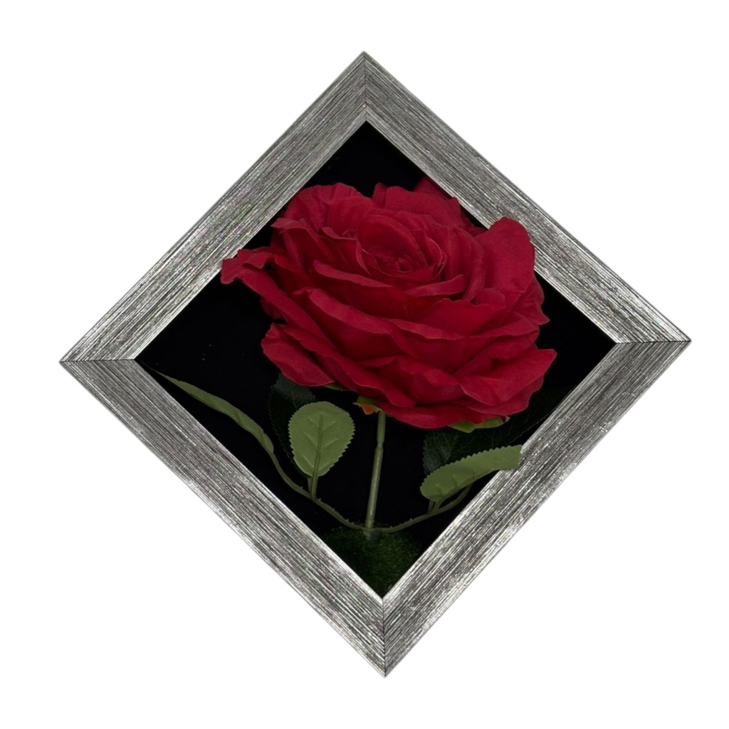 ****Classy Homes Artificial Plants With Frame, 20x20cm