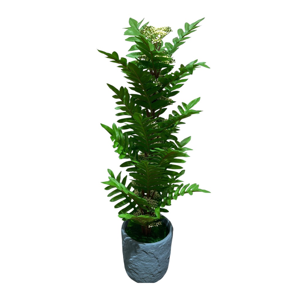 Classy Homes Artificial Plant, 62cm
