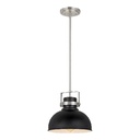 Royal Homes Pendant Light