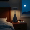 Royal Homes Table Light USB, Rose Gold/ Silver/ Black