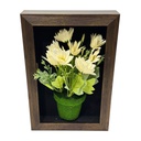 Classy Homes Artificial Plants With Frame, 20x30cm