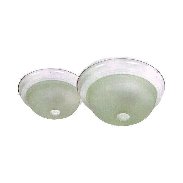 ****Royal Homes 2-pack Indoor Flush-Mount Ceiling Lights E27, White Finish