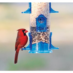 ****Stokes Select Bird Feeder Jumbo Tube 3.2 Lb. Capacity Plastic, Blueñ