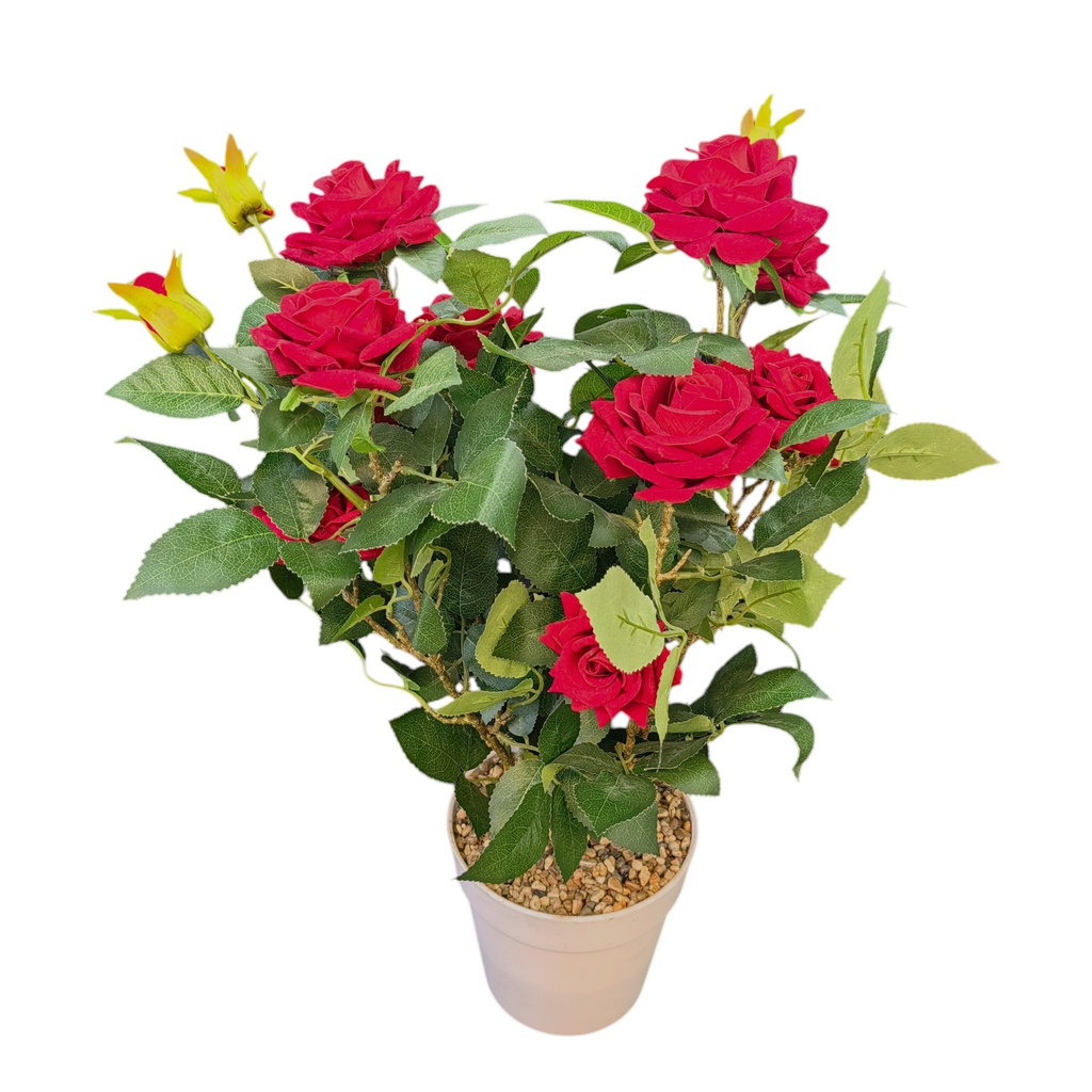 Classy Homes Artificial Plant, 67cm