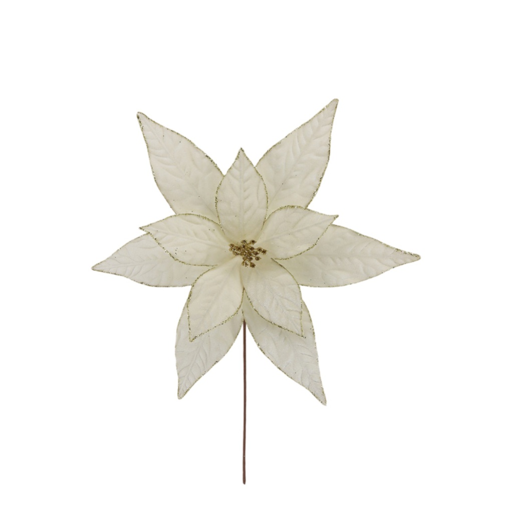 ^Miro Poinsettia 47x50cm Ivory/ Gold