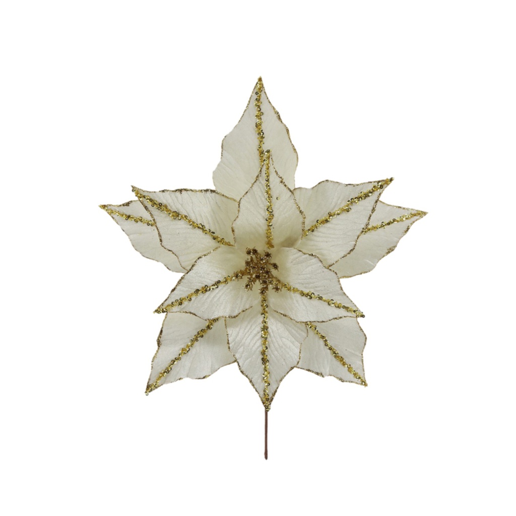 ^Miro Poinsettia 35x30cm Ivory/Gold