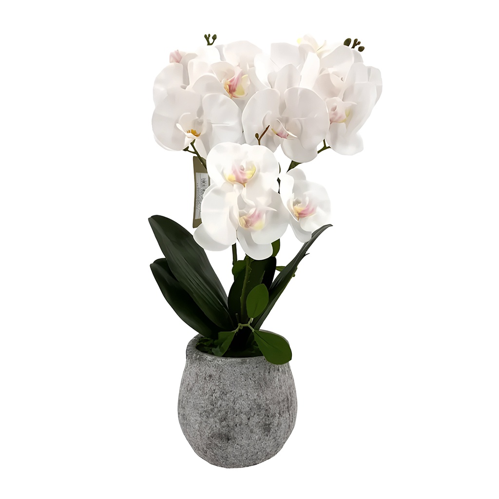 Decore Artificial Orchid in Cement Pot 50cm White