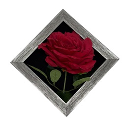 [HHGD-PLNT-01087 (CHLY-0768-26) CHAPF31882] ****Classy Homes Artificial Plants With Frame, 20x20cm