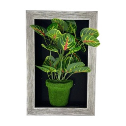 [HHGD-PLNT-01097 (CHLY-0768-54) CHAPF31892] ****Classy Homes Artificial Plants With Frame, 20x30cm