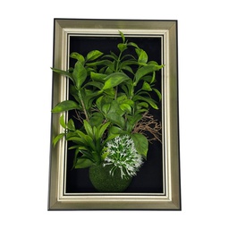 [HHGD-PLNT-01098 (CHLY-0768-56) CHAPF31893] ****Classy Homes Artificial Plants With Frame, 20x30cm