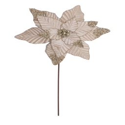 [831-F002-2532] ^Miro Poinsettia 36x50cm Champagne