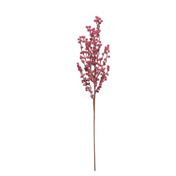 [831-AMX018-2536] ^Miro Berry Filler 78cm / 30.5 In. Red
