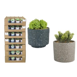 [718-05285] Decore Artificial Plant in Terracotta Pot 12x16cm